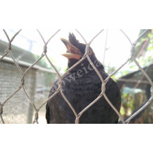 Zoo Mesh/Stainless Steel Bird Netting/Aviary Mesh